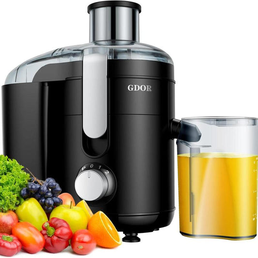 800–1300W Juicer with 3.2" Feed Chute & Titanium Disc Dual Speed
